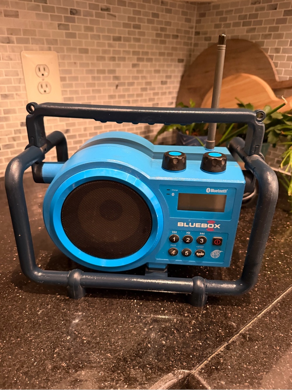 Sangean BB-100 BlueBox AM/FM Ultra-Rugged Digital Receiver with Bluetooth